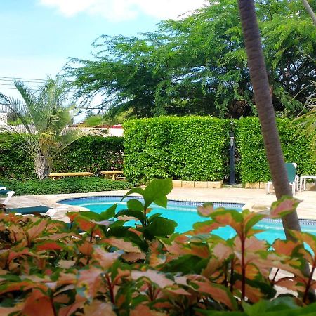 Agua Clara Eco Suites Oranjestad Extérieur photo