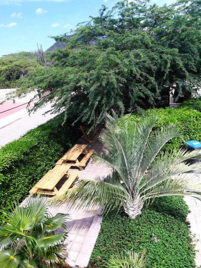 Agua Clara Eco Suites Oranjestad Extérieur photo